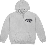 Beastie Boys - Check Your Head with backprint - Pullover Grey Hooded Sweatshirt